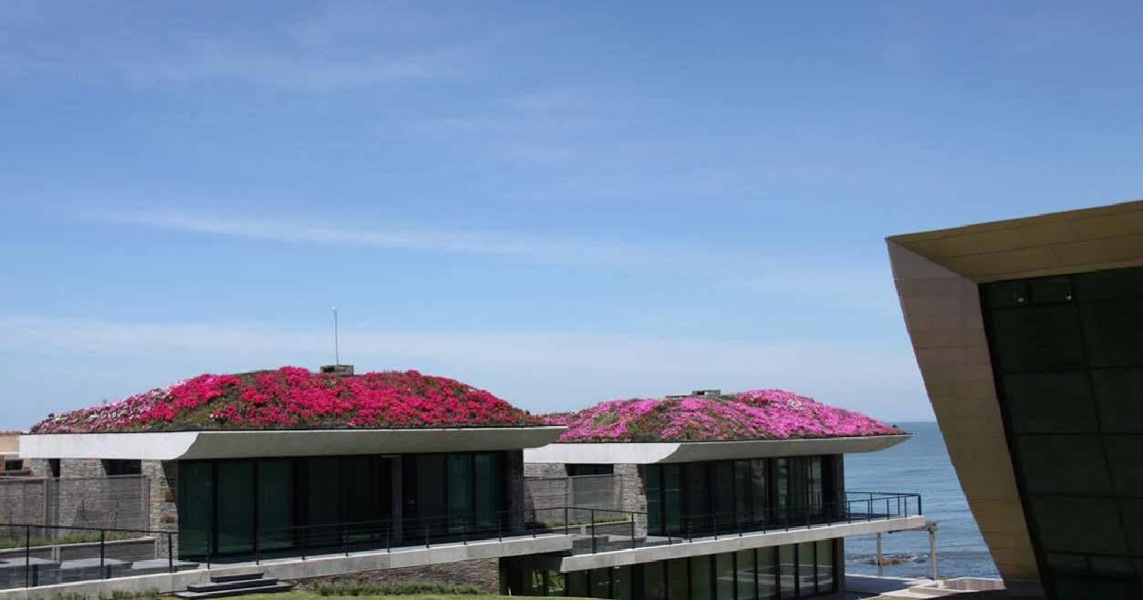Playa Vik Jose Ignacio Villa Dış mekan fotoğraf